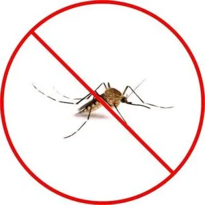 Industrial Insect Mosquito Bug Fogger Sprayer - Image 2
