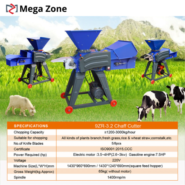 10 Mega Zone