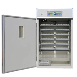 Egg Incubator