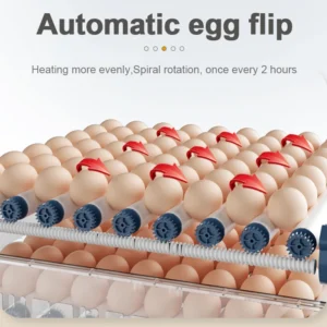 128 Eggs Birds Egg Farm Incubator Automatic - Image 2