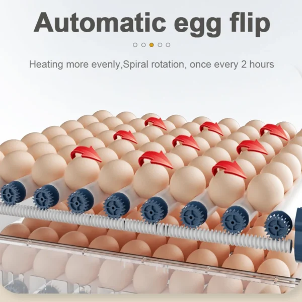kfS0bb2c0f0f14d49bcac60f46233d97977J128EggsIncubatorAutomaticChickenBrooderFarmEquipmentBirdChickDuckGooseIncubationAccessoriesLargeIncubator Mega Zone