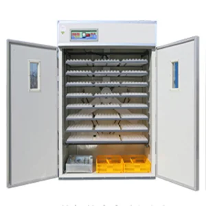 1000 Eggs Incubator With Drawer Automatic Turner - Image 2