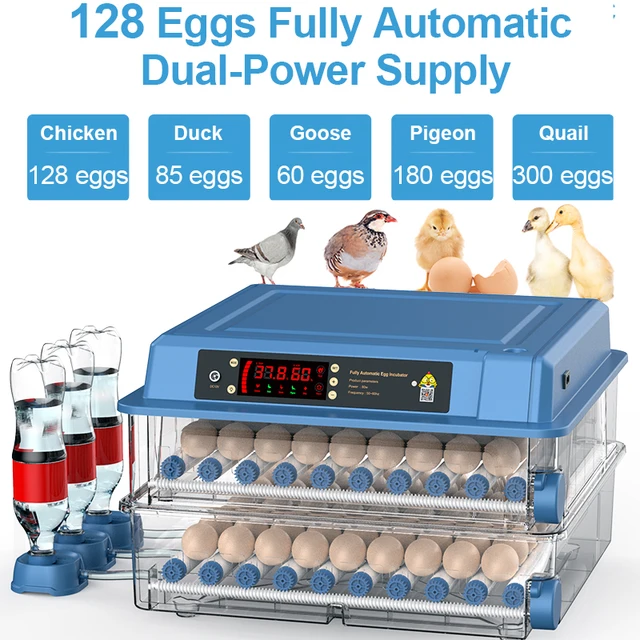 kfSa342fb55605b474587c7e275be156c6b2128EggsIncubatorAutomaticChickenBrooderFarmEquipmentBirdChickDuckGooseIncubationAccessoriesLargeIncubator Mega Zone