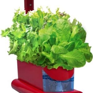AeroGarden 3 Seed Pod Kit Heirloom SALAD GREENS - Image 2
