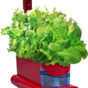 AeroGarden 3 Seed Pod Kit Heirloom SALAD GREENS - Image 2
